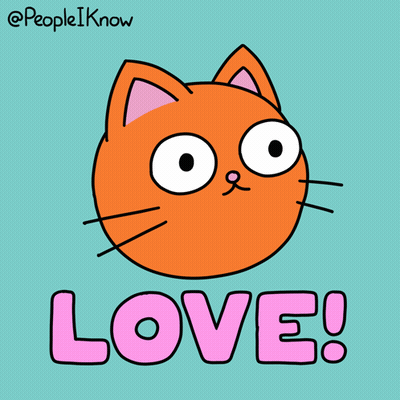 Cat And The Word Love GIF