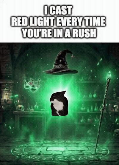 Cat And Witch Hat Saying I Cast Red Light Every Time You're In A Rush GIF