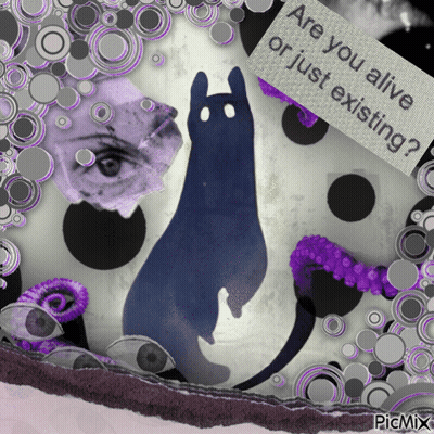 Cat Are You Alive Or Just Existing GIF