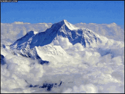 Cat As A Mountain Climbers On The Peak GIF