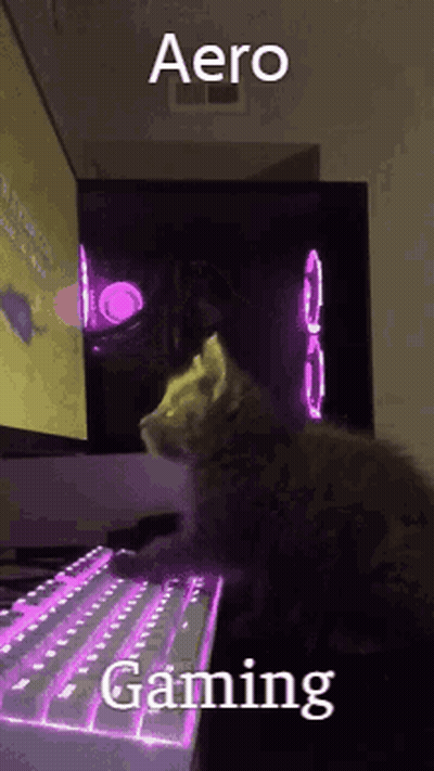 Cat At Computer Keyboard Looking At Screen GIF