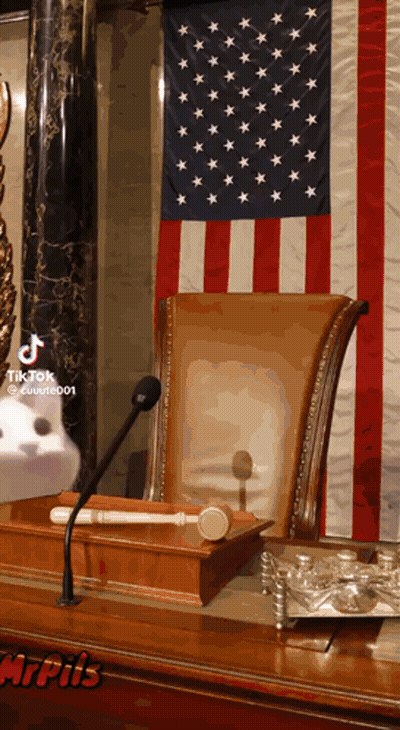 Cat At Microphone In Front Of American Flag GIF