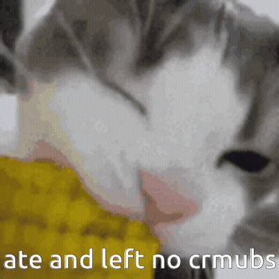 Cat Ate And Left No Crumbs GIF