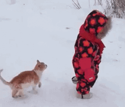 Cat Attack On Frozen Ground GIF