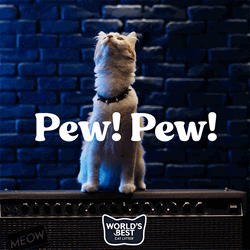 Cat Attack Pew Pew GIF