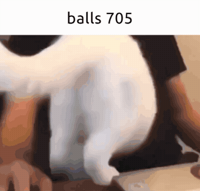 Cat Balls 705 GIF