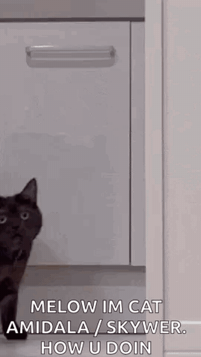Cat Before Fire Me When No Battle Cats I Get Freaky GIF