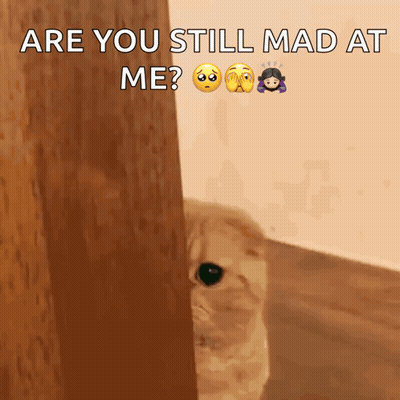 Cat Behind Door Saying Are You Still Mad At Me GIF