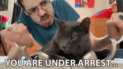 Cat Being Arrested GIF