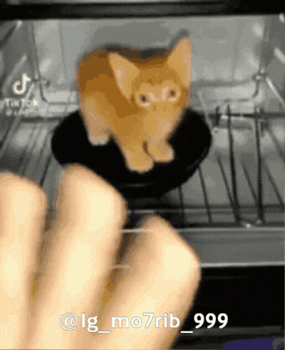 Cat Being Cooked In Toaster Oven GIF