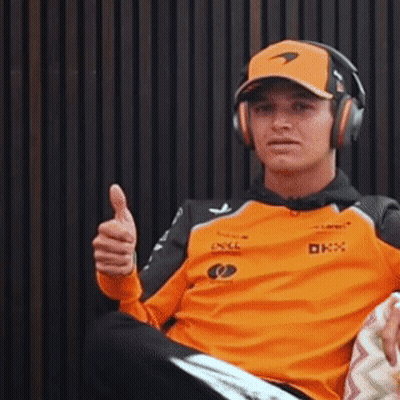 Cat Being Petted Giving Thumbs Up GIF