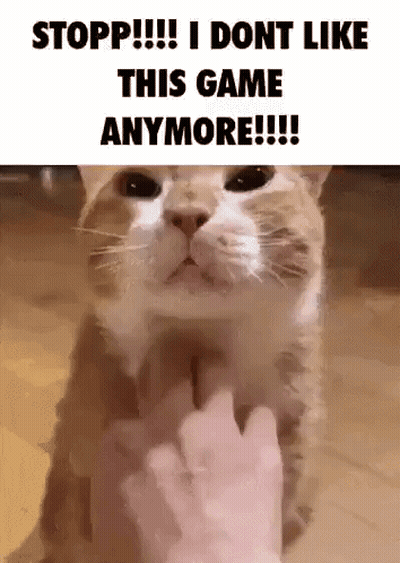 Cat Being Petted Says Stop I Dont Like This Game Anymore GIF