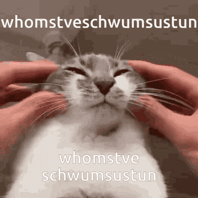 Cat Being Petted Whomstveschwumsustun GIF