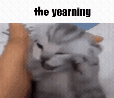 Cat Being Petted With Yearning GIF