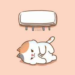 Cat Bella Air Conditioning GIF