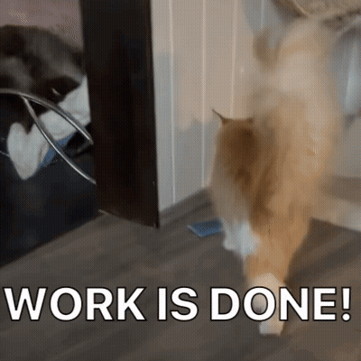 Cat Beside Sign Saying Work Is Done GIF