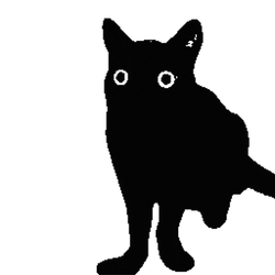 Cat Black Cat Srodan Anonimlesmek Animation Cat Art Art Meow GIF