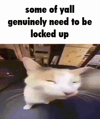 Cat Bleh GIF
