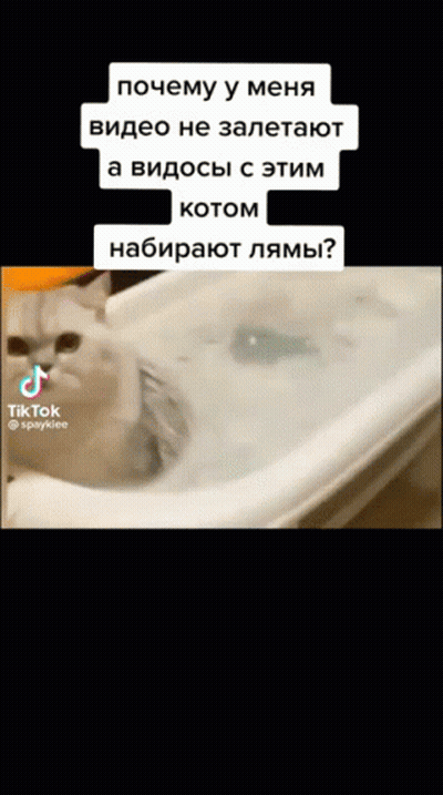 Cat Blowing Bubbles In Bathtub GIF
