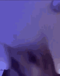 Cat Bobbing Head Crazy Dance Camera Shake GIF