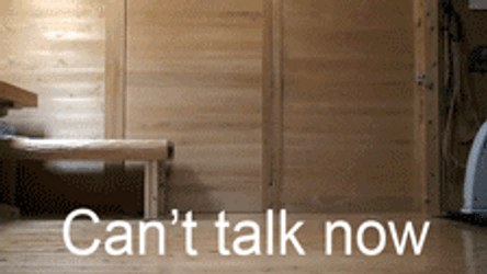 Cat Busy Running Around GIF