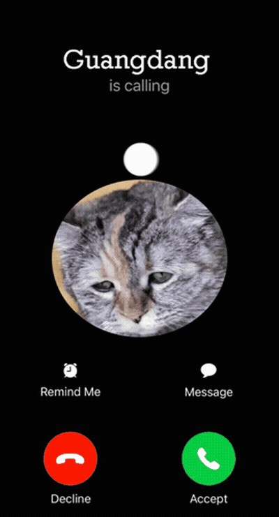 Cat Called By Guangdang GIF