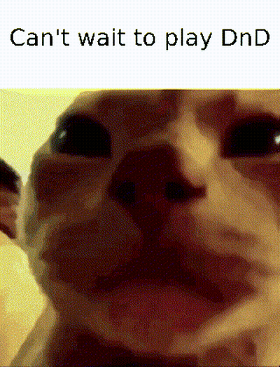 Cat Can't Wait To Play Dnd GIF