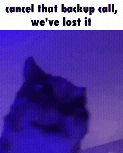 Cat Cancel That Backup Call We've Lost It GIF