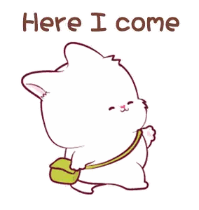 Cat Carrying Green Bag Here I Come Sticker