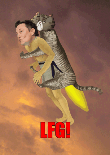 Cat Carrying Man With LFG Text GIF