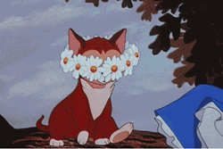 Cat Cartoon Removing Head Flowers GIF