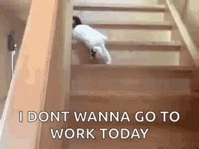 Cat Climbing Stairs GIF