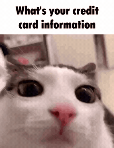Cat Close Up Asking What's Your Credit Card Information GIF