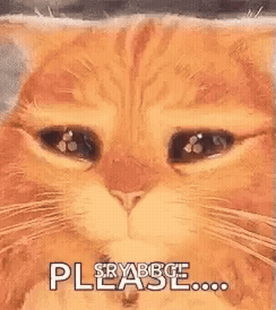 Cat Close Up Eyes Closed Saying Please GIF