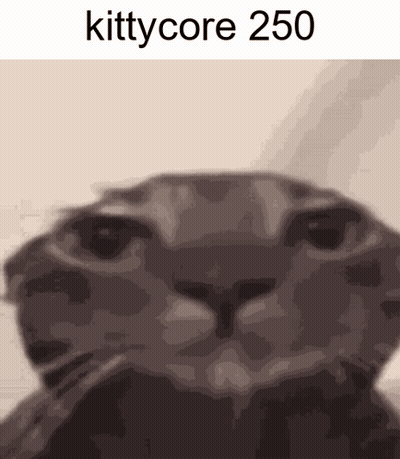 Cat Close Up Kittycore 250 GIF