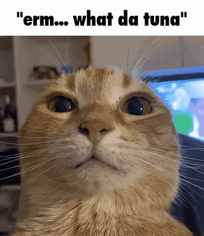 Cat Close-Up Saying Erm What Da Tuna GIF