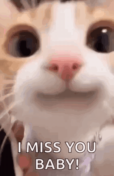 Cat Close Up Saying I Miss You Baby GIF