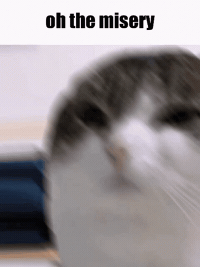 Cat Close-Up Saying Oh The Misery GIF