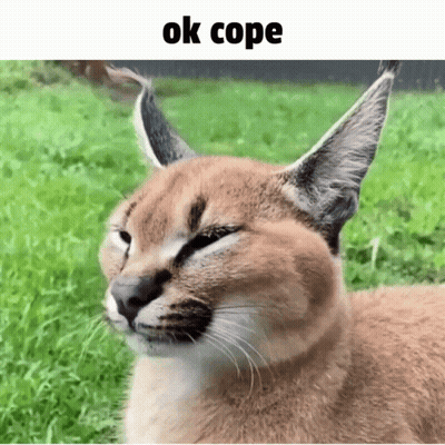 Cat Close Up Saying Ok Cope GIF