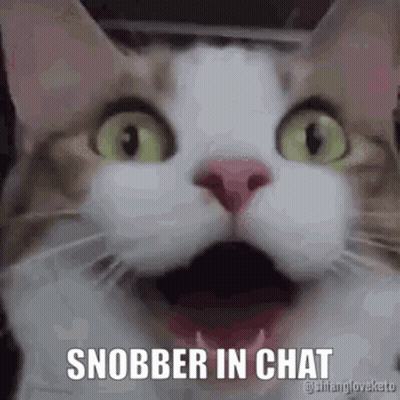 Cat Close Up Saying Snobber In Chat GIF