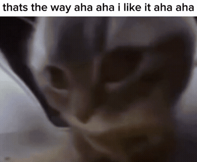 Cat Close Up Thats The Way Aha Aha I Like It Aha Aha GIF