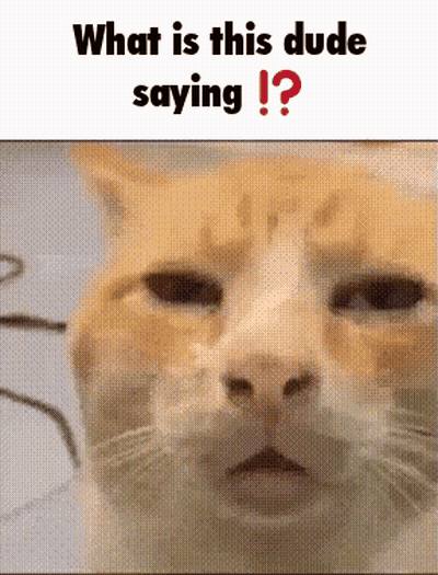 Cat Close Up What Is This Dude Saying GIF