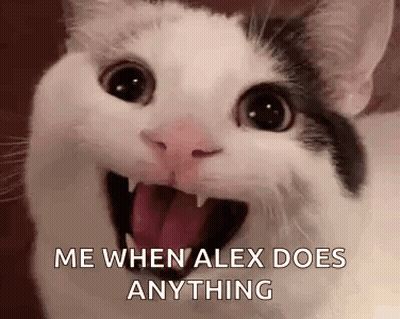 Cat Close Up With Caption D GIF