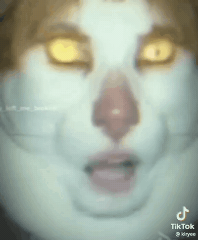Cat Close Up Yellow Eyes And Nose GIF