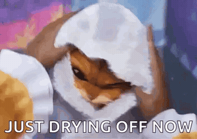 Cat Covering Face With Towel Saying Just Drying Off Now GIF