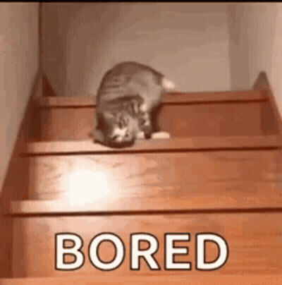 Cat Crawling Up Wooden Stairs GIF