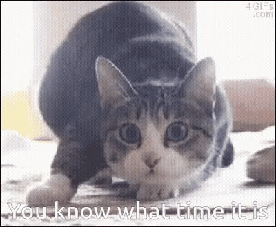 Cat Crawling With You Know What Time Is GIF