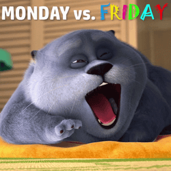 Cat Crazy Monday Versus Friday GIF