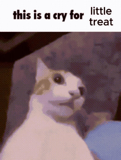Cat Crying For Treat GIF