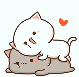 Cat Cute GIF